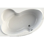 Ванна акриловая Радомир Ирма 1 169x110 см L (в комплекте каркас), Размер - мм: 1690х1100 фото 