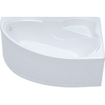 Ванна акриловая Тритон Николь L 160x100x63 см с каркасом фото 