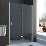 Душевая дверь Veconi Vianno 100 см VN42-100-01-19C1, хром/прозрачное фото 