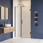 Душевая дверь RGW HO-012B 120 см 350601212-14 (стекло 8 мм), черный/прозрачное фото 