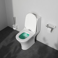 Унитаз-компакт безободковый Am.Pm Sense C748600SC с сиденьем микролифт фото 4