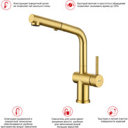 Смеситель для кухни Raglo R86.49.03, золотой сатин фото 3