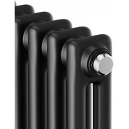 Вертикальный радиатор Royal Thermo Insignia C2180 380x1800 мм (8 секций) чёрный фото 3