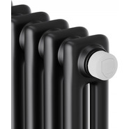 Вертикальный радиатор Royal Thermo Insignia VC2180 290x1800 мм (6 секций) чёрный фото 3