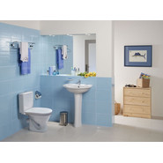 Унитаз-компакт Santek Алькор 1.WH30.2.196 с крышкой полипропилен фото 3