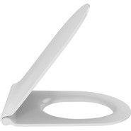 Сиденье с крышкой для унитаза Jacob Delafon Rodin+ микролифт E23280-00 фото 