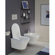 Унитаз подвесной безободковый Jacob Delafon Rodin+ EDY102-00 фото 4