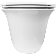 Унитаз подвесной безободковый Azario Felice AZ-0051 с крышкой микролифт фото 5