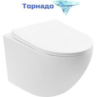 Унитаз подвесной безободковый Abber Bequem AC1100TMW с крышкой микролифт, белый матовый (система смыва Торнадо), Цвет производителя: белый матовый фото 