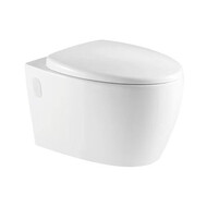 Унитаз подвесной безободковый Azario Deya AZ-2115 с крышкой микролифт фото 