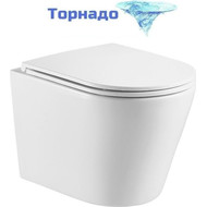 Унитаз подвесной безободковый Azario Teramo AZ-0053-UQ с крышкой микролифт (Система смыва торнадо) фото 