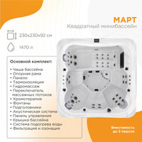 Спа бассейн Радомир Март 230x230 см 1-30-0-0-0-360, коричневый фото 