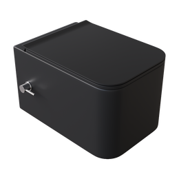 Унитаз-биде подвесной безободковый Boheme Mane 970-SET-2-B с крышкой микролифт, чёрный матовый, Цвет производителя: чёрный матовый фото 