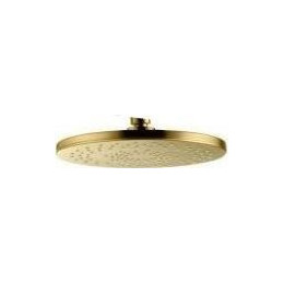 Верхний душ Boheme Spectre 225x225 мм 423-G, gold фото 