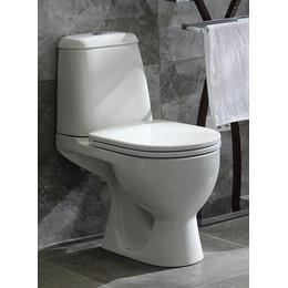 Унитаз-компакт Sanita Luxe MAX MAXSLCC01040513 с крышкой микролифт фото 