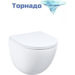 Унитаз подвесной безободковый Iddis Axes AXERDSEi25 с крышкой микролифт (система смыва Торнадо) фото 