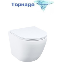 Унитаз подвесной безободковый Iddis Blanco Q BLQNDSEI25 с крышкой дюропласт (система смыва Торнадо) фото 