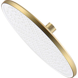 Верхний душ Raglo 250x250 мм R451.50.03, сатин золотой фото 