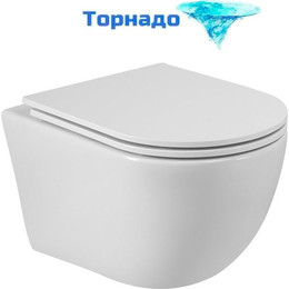 Унитаз подвесной безободковый Cezares Relax-Tor CZR-38088-49-TH-TOR/SC с крышкой микролифт (система смыва Торнадо) фото 