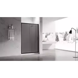 Душевая дверь Veconi 100 см VN55BT-100-05-C8, чёрный матовый/тонированное фото 