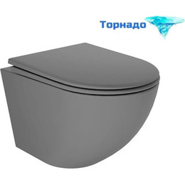 Унитаз подвесной безободковый Veconi Moro VMO-48TGr (Система смыва торнадо) с крышкой микролифт, серый, Цвет производителя: серый фото 