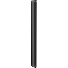 Вертикальный радиатор Royal Thermo Insignia C2180 200x1800 мм (4 секции) чёрный фото 