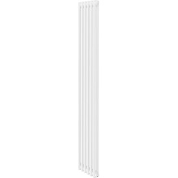 Вертикальный радиатор Royal Thermo Insignia C2180 290x1800 мм (6 секций) фото 