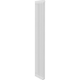 Вертикальный радиатор Royal Thermo Insignia VC3180 290x1800 мм (6 секций) фото 