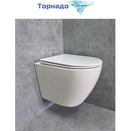 Унитаз подвесной CeramaLux Rimless TR2196 с крышкой микролифт (Система смыва торнадо) фото 