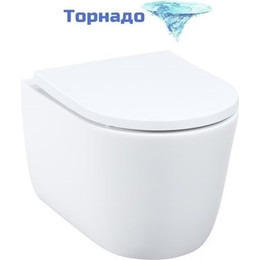 Унитаз подвесной безободковый Iddis Slide SLIRDSEi25 с крышкой микролифт (система смыва Торнадо) фото 