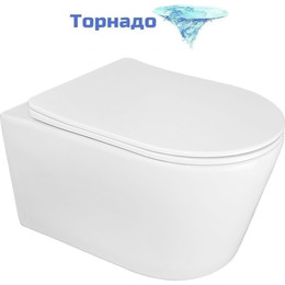 Унитаз подвесной безободковый Azario Ollin AZ-0513R с крышкой микролифт (Система смыва торнадо) фото 