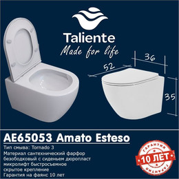 Унитаз подвесной безободковый Taliente Amato Esteso T3 AE65053 с крышкой микролифт (система смыва Торнадо) фото 