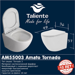 Унитаз подвесной безободковый Taliente Amato Tornado 3 AM55003 с крышкой микролифт (система смыва Торнадо) фото 