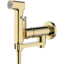 Набор для гигиенического Aquatek Ника AQ1819BG, золото фото 