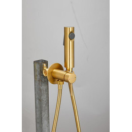 Набор для гигиенического душа Belz B55804-5 (со скрытой частью) золото матовое фото 