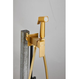 Набор для гигиенического душа Belz B55805-5 (со скрытой частью) золото матовое фото 