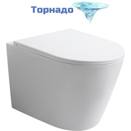 Унитаз подвесной безободковый Veconi Ando VAN-48T (Система смыва торнадо) с тонкой крышкой микролифт фото 
