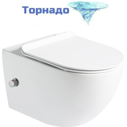 Унитаз-биде подвесной безободковый SantiLine SL-5002T-SM/BD с тонкой крышкой микролифт (система смыва Торнадо) фото 