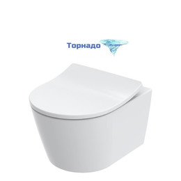 Унитаз подвесной Toto RP CW554Y с сиденьем (Система смыва торнадо) фото 