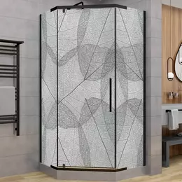 Душевое ограждение Avacan 100х100 см PB100MT, чёрный/матовое фото 