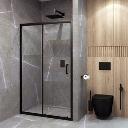 Душевая дверь EvaGold 100 см EG220020, чёрный/прозрачное фото 