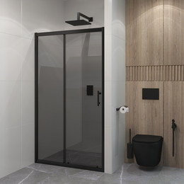 Душевая дверь EvaGold 120 см EG220055, чёрный/тонированное фото 