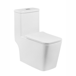 Унитаз-моноблок безободковый EvaGold EG050004 с тонкой крышкой микролифт фото 