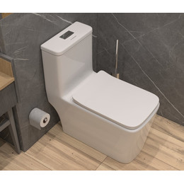 Унитаз-моноблок безободковый EvaGold EG050004 с тонкой крышкой микролифт фото 