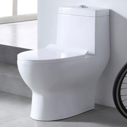 Унитаз-моноблок безободковый EvaGold EG050006 с тонкой крышкой микролифт фото 