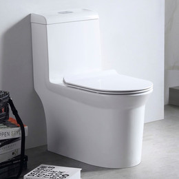 Унитаз-моноблок безободковый EvaGold EG050010 с тонкой крышкой микролифт фото 