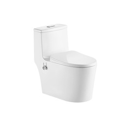 Унитаз-моноблок безободковый с функцией биде EvaGold EG050014 с тонкой крышкой микролифт фото 