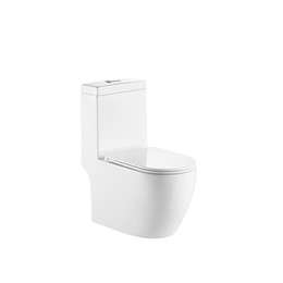 Унитаз-моноблок безободковый EvaGold EG050017 с тонкой крышкой микролифт фото 