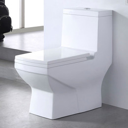 Унитаз-моноблок EvaGold EG050019 с крышкой микролифт фото 