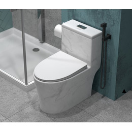 Унитаз-моноблок безободковый EvaGold EG060001 с тонкой крышкой микролифт, белый с декором фото 